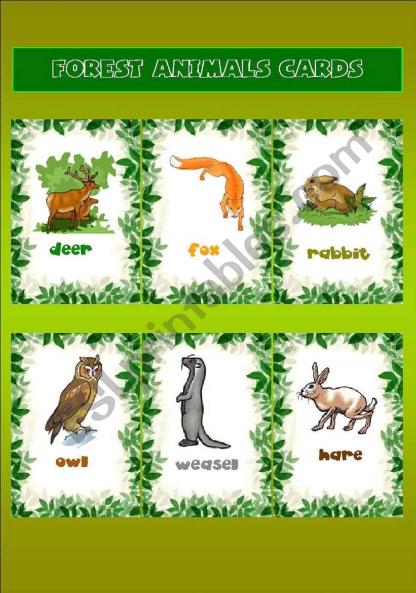 Forest animals  worksheet