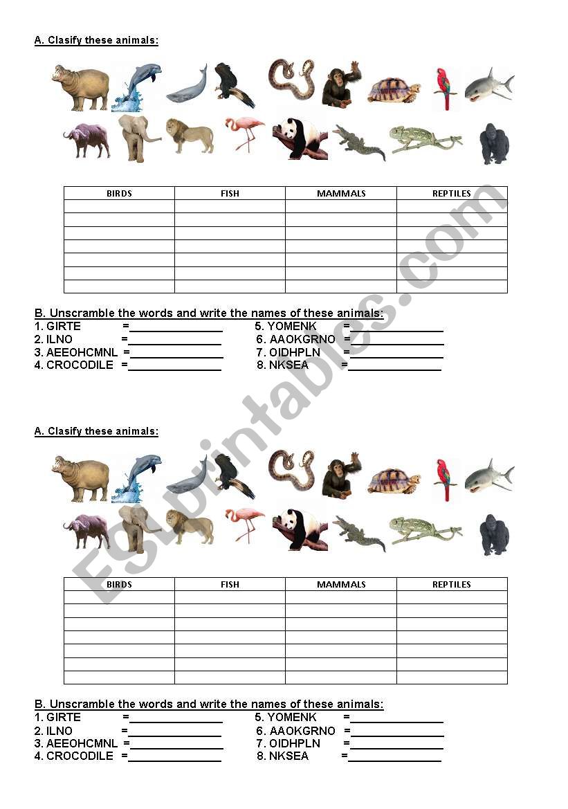 animal clasification worksheet