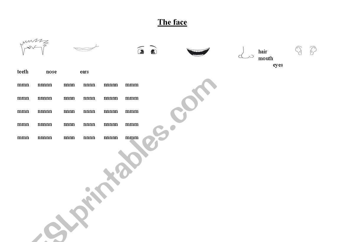 The face worksheet