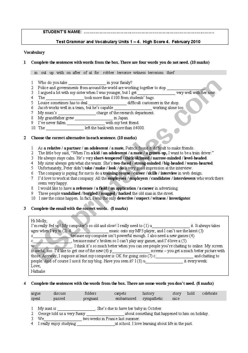 Grammar and Vocabulary worksheet