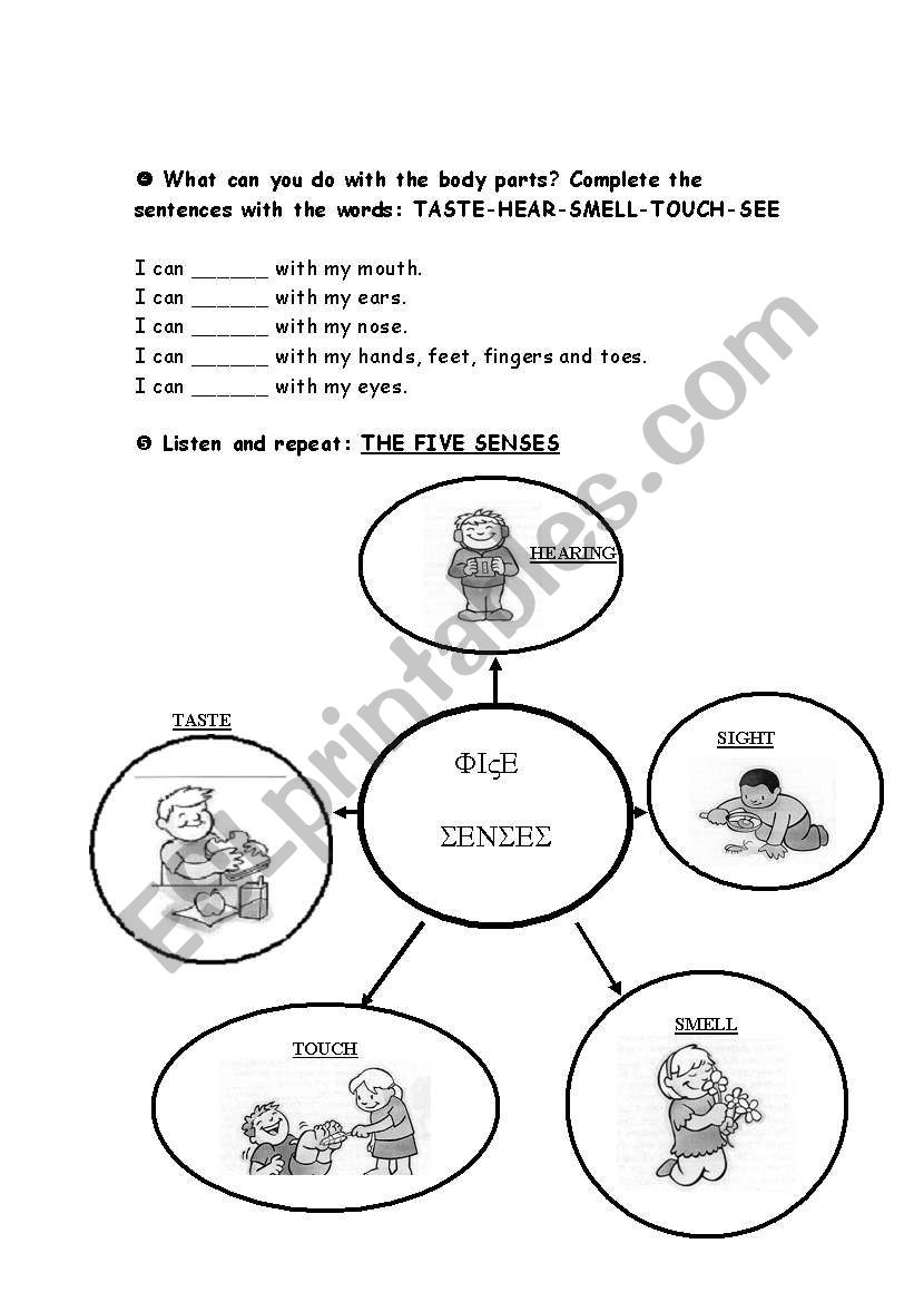 5 senses (3rd part) worksheet