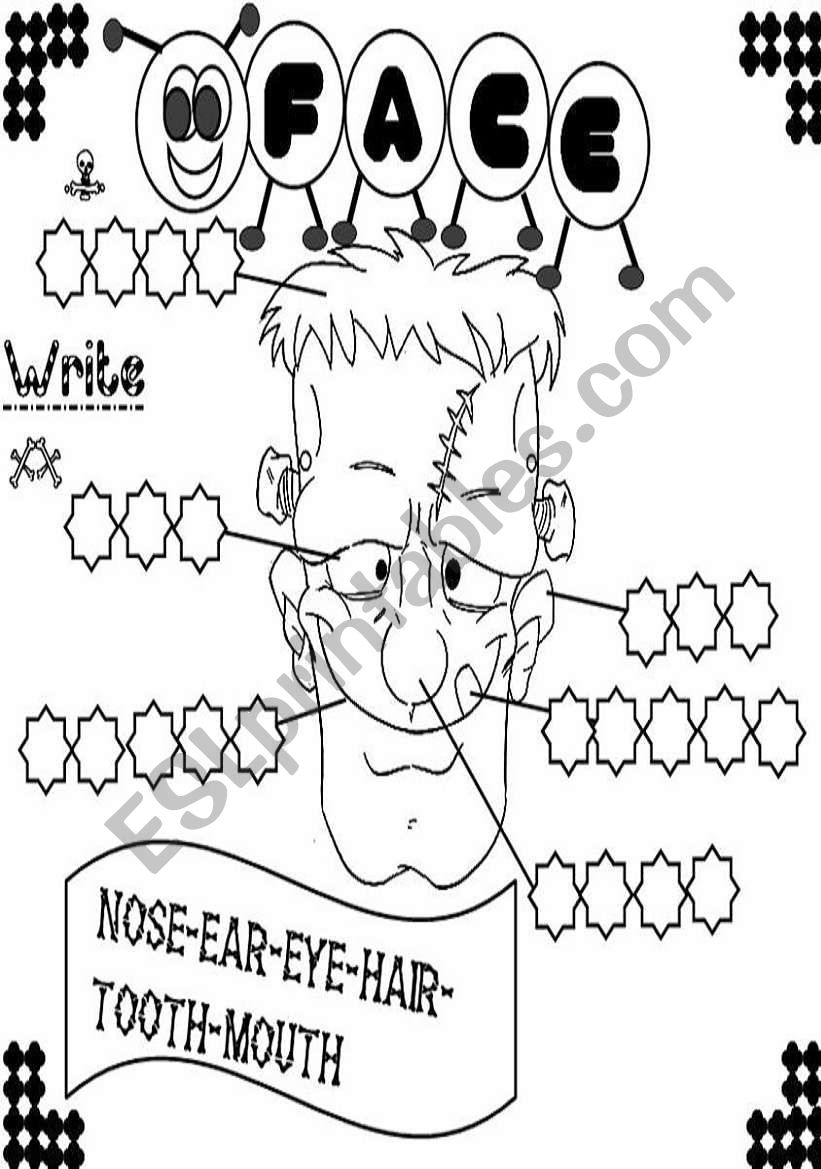 face worksheet