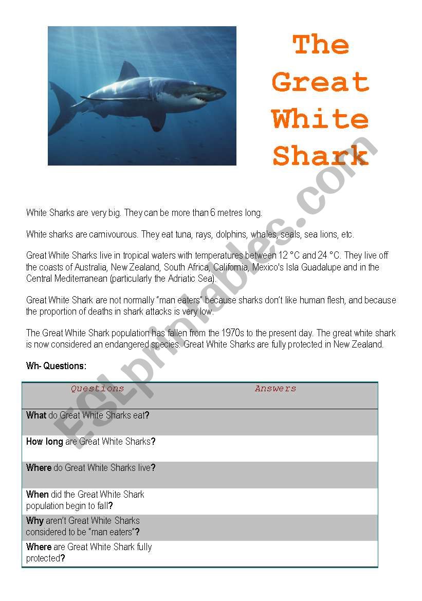 The Great White Shark worksheet