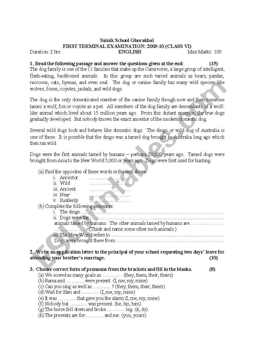 practice paper worksheet