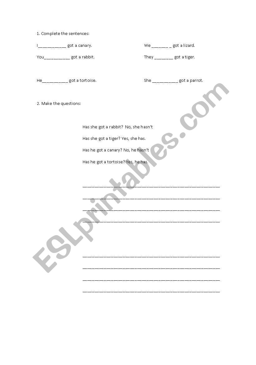 Have and Has worksheet