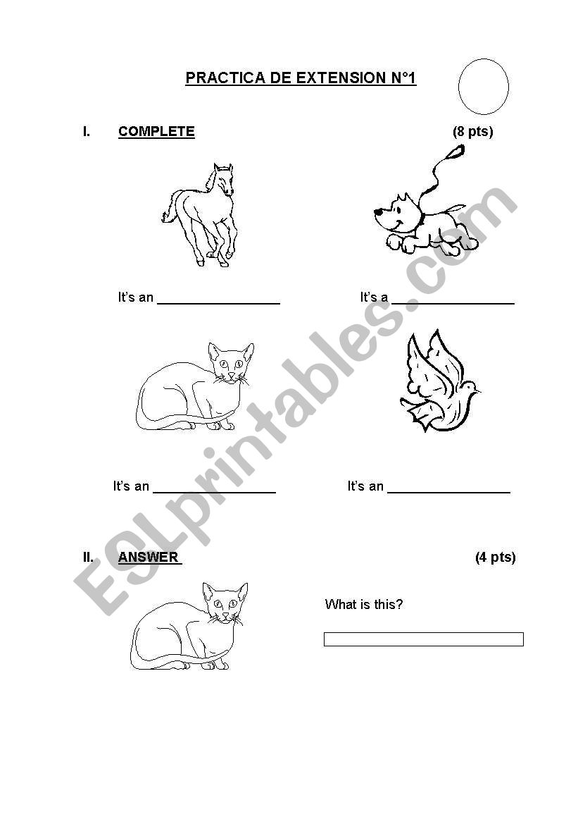 ITS / THEYRE (ANIMALS) worksheet