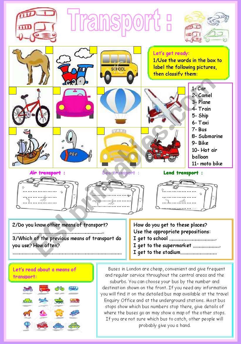 TRANSPORT worksheet