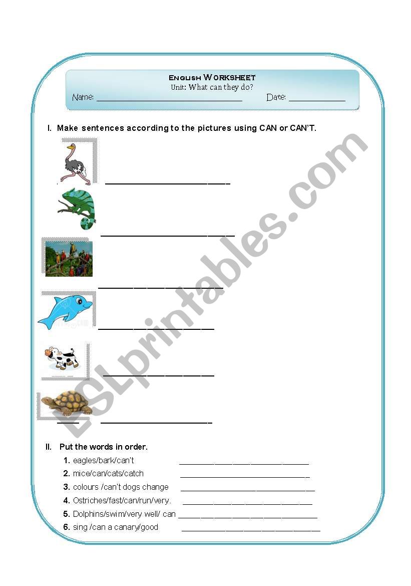 Worksheet about cant and cant