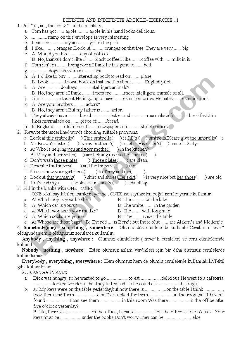 DEFINITE AND INDEFINITE ARTICLE- EXERCISE 