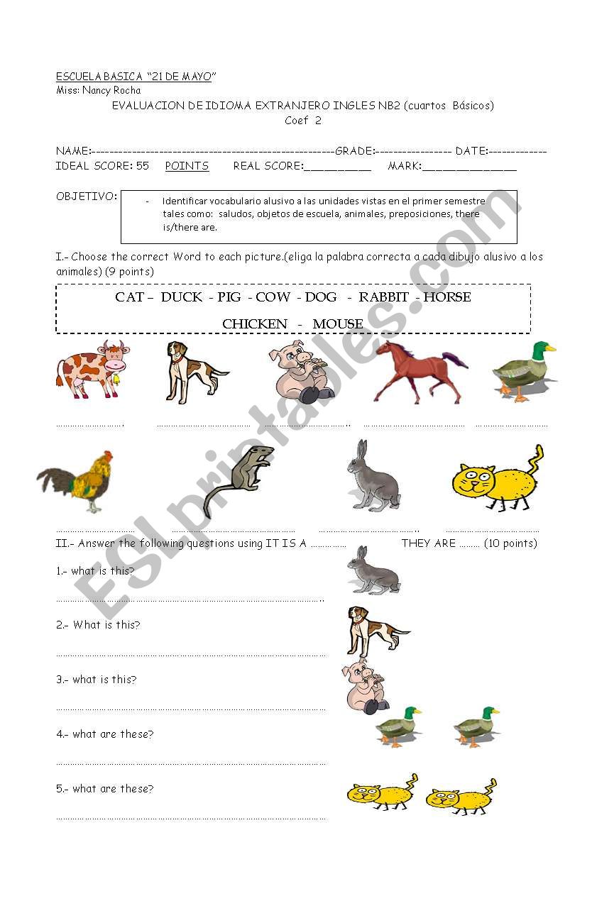 TEST coef 2 worksheet