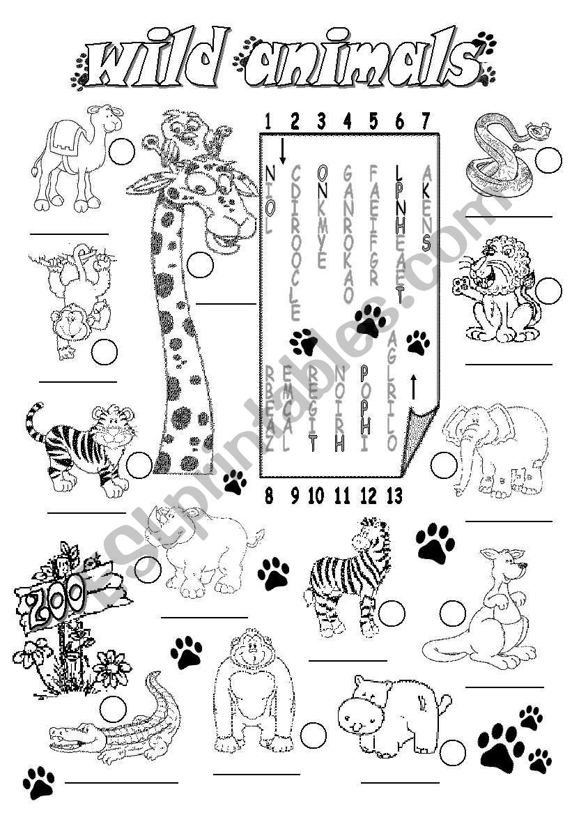 WILD ANIMALS worksheet