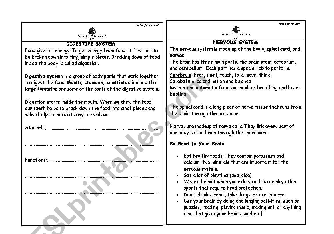 NERVOUS SYSTEM worksheet