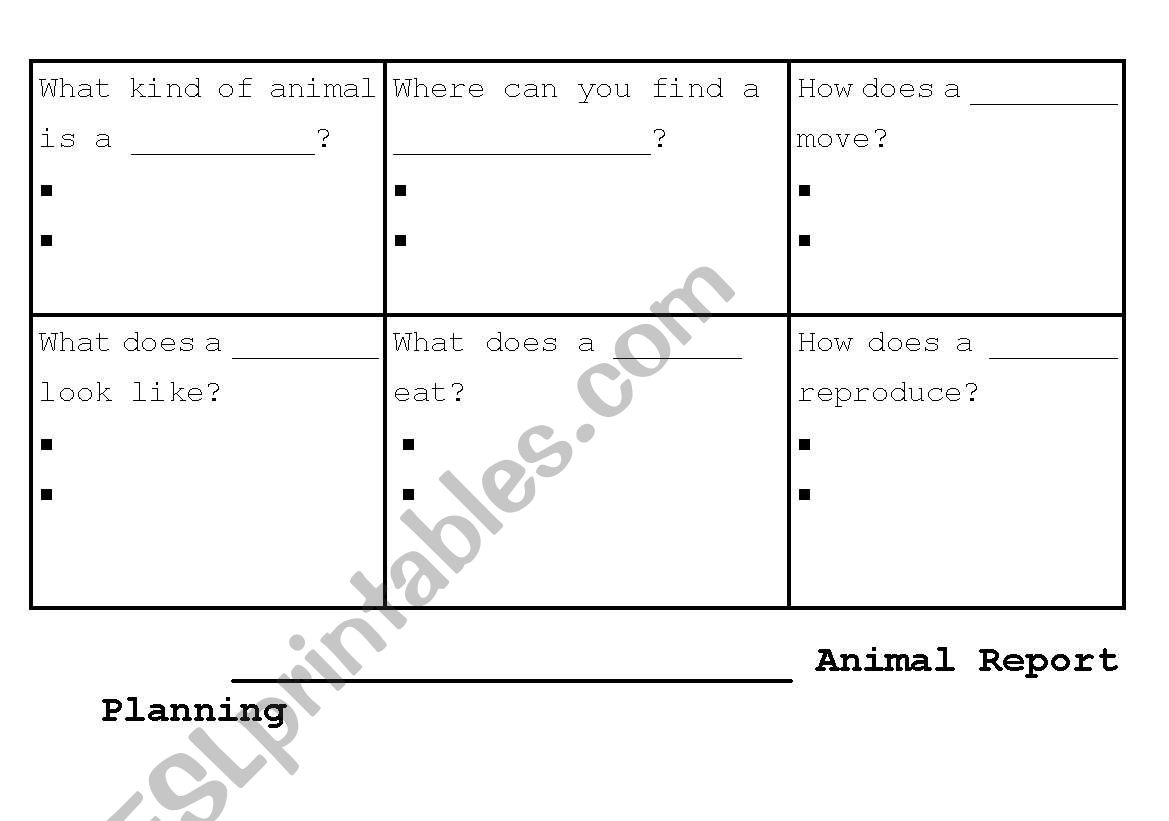 Animal Reports worksheet