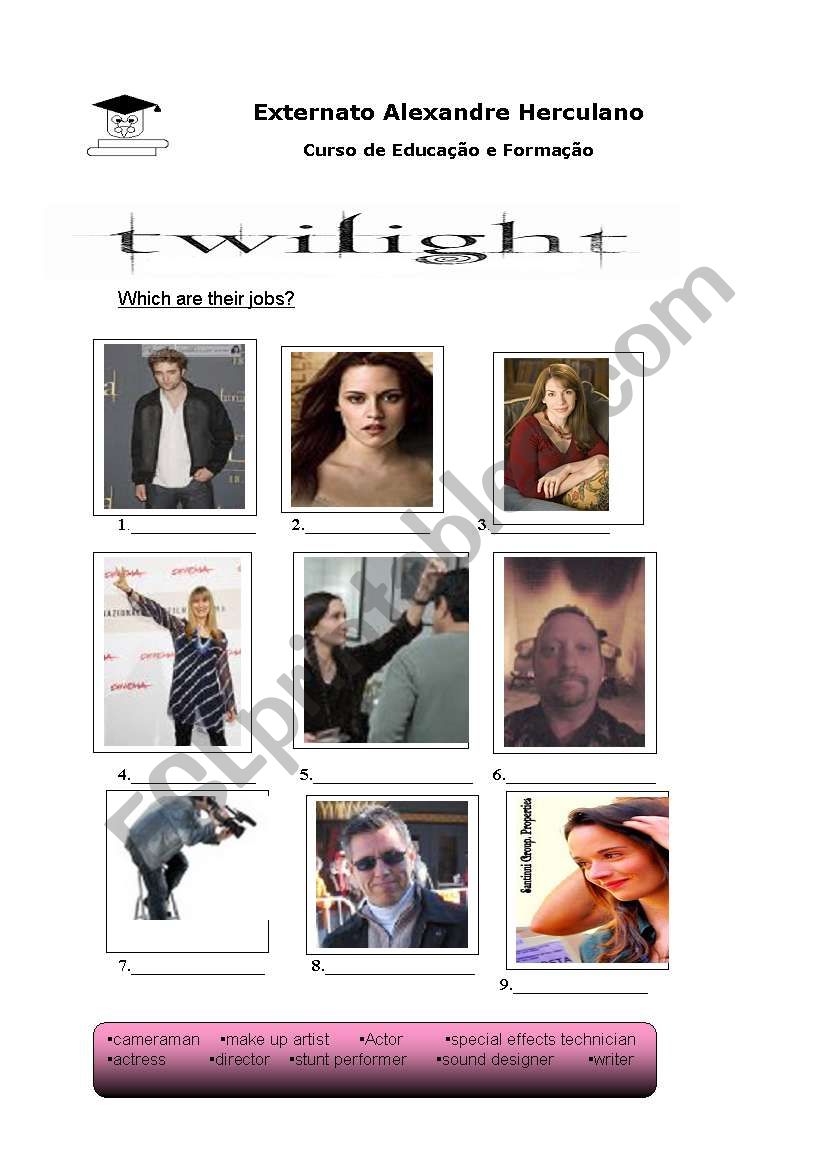 TWILIGHT  jOBS! worksheet