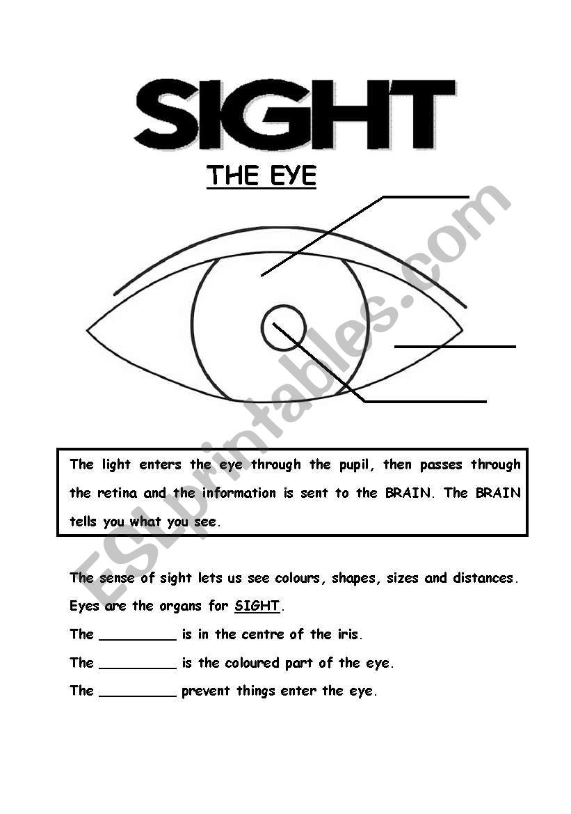 5 senses (4th part) worksheet