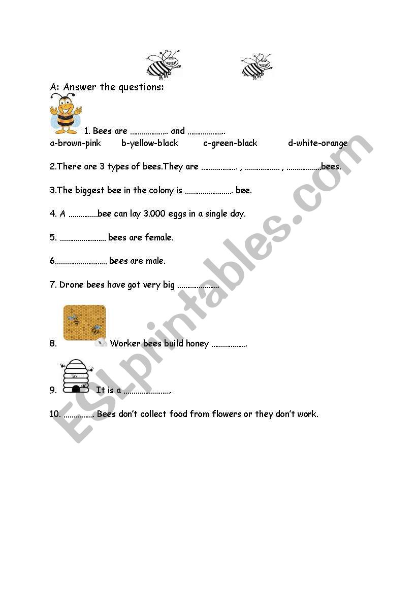  exercises about bees and comparatives-superlatives