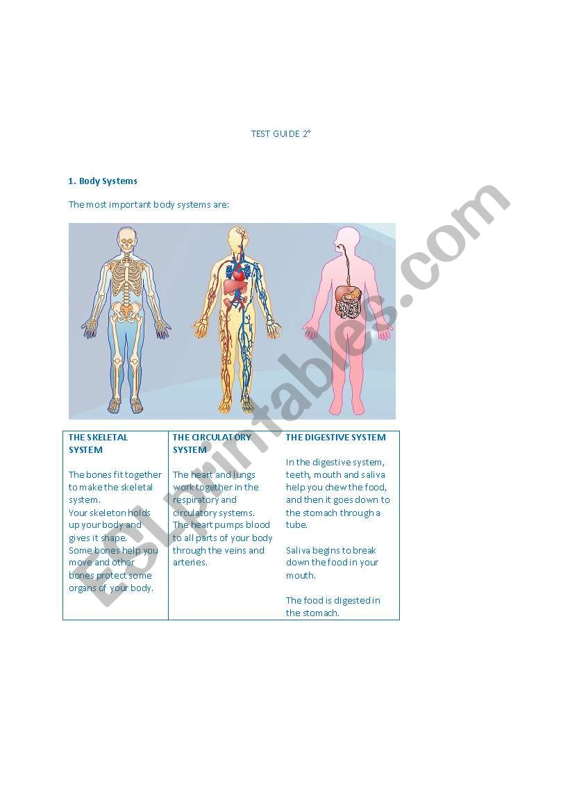 SCIENCE TEST GUIDE worksheet