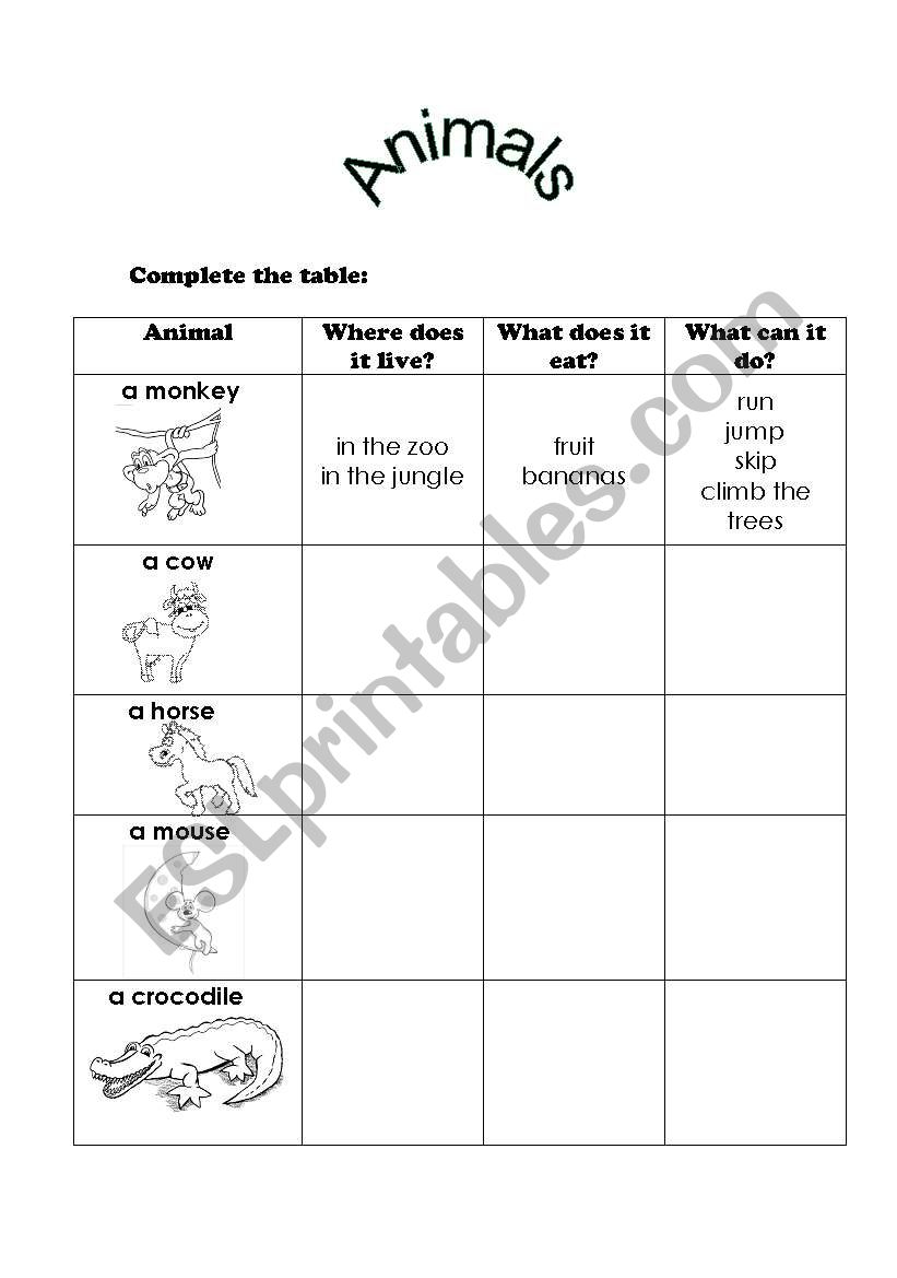 Animals worksheet