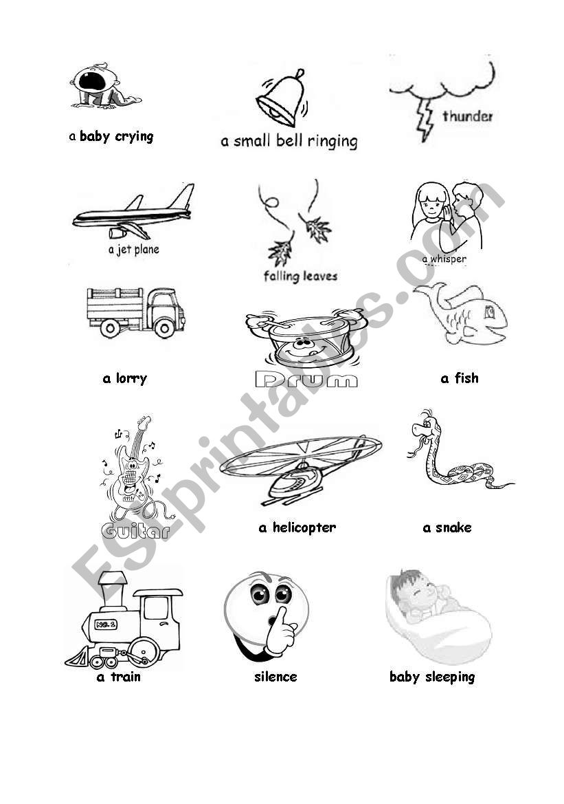 5 senses (6th part) worksheet