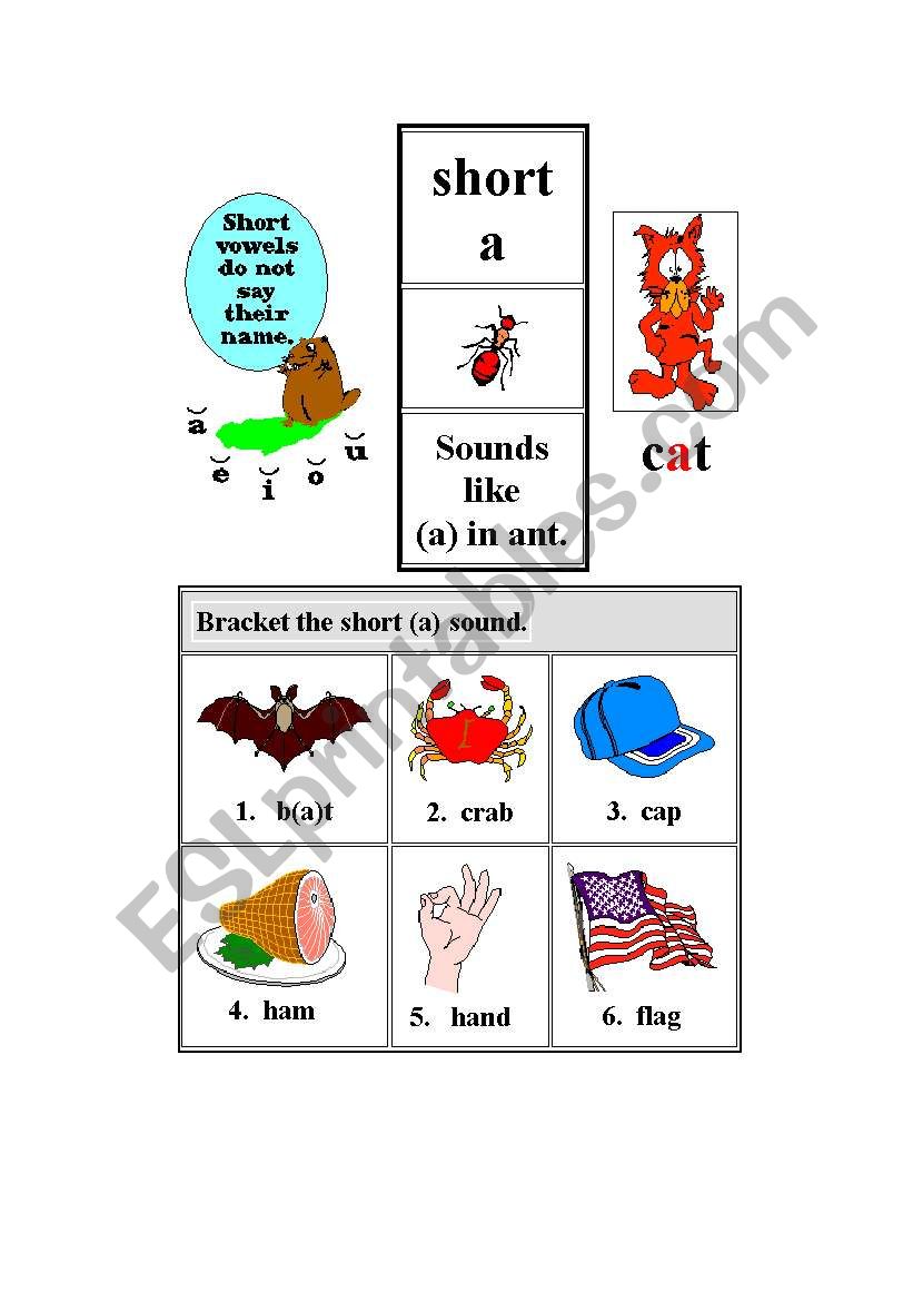 PHONICS: SHORT A SOUND worksheet