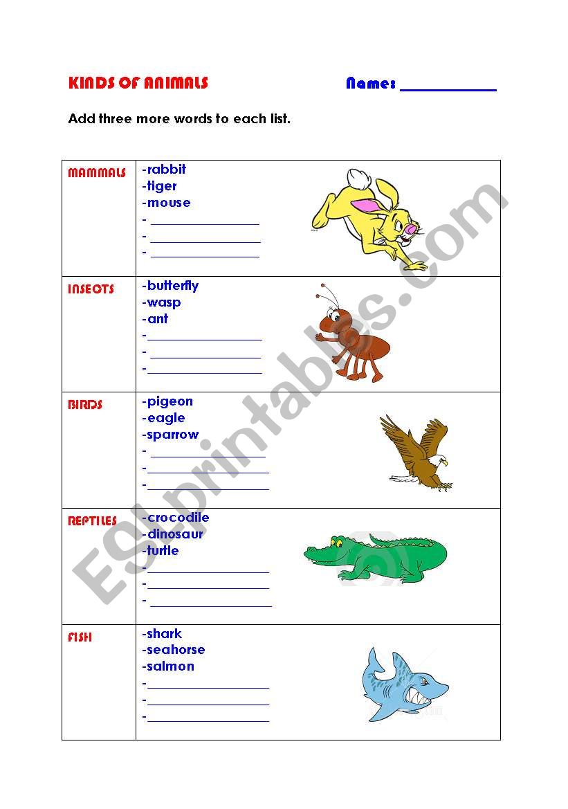 Kinds of animals worksheet