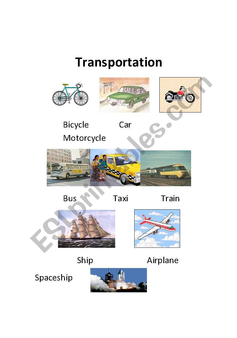 Transportation worksheet