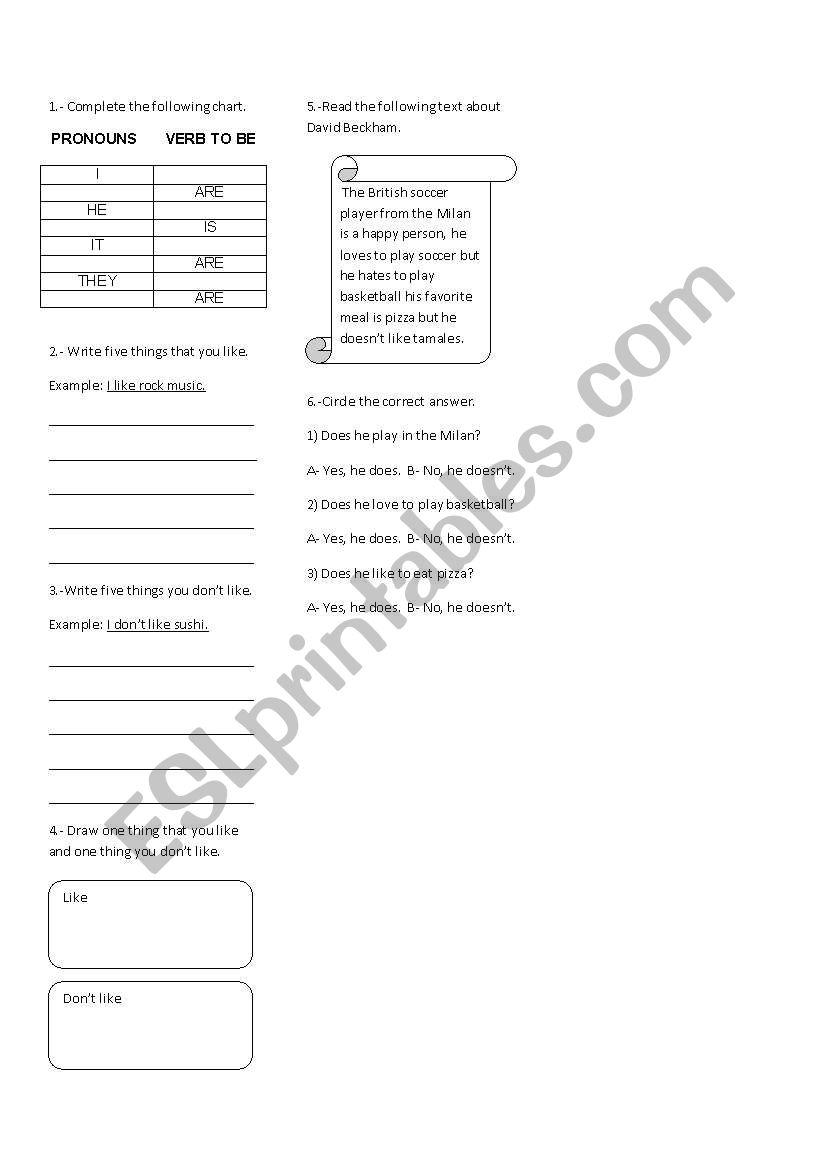 Likes and dislikes worksheet