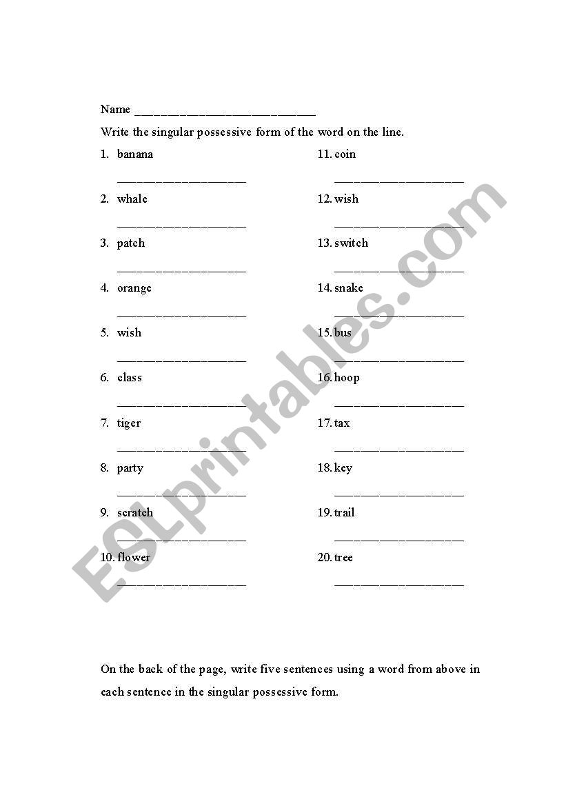 Singular Possessive Nouns worksheet