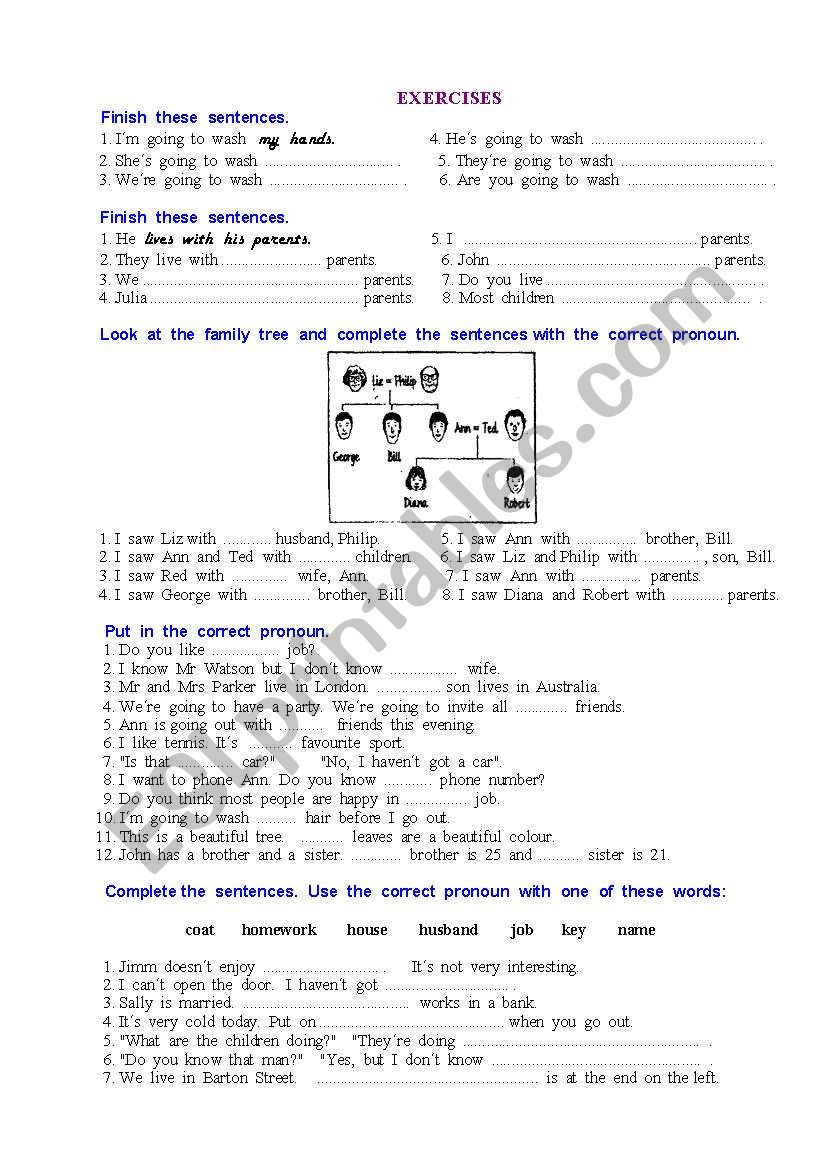 Pronouns worksheet