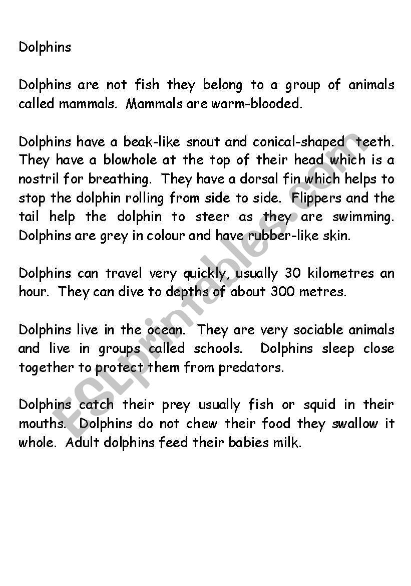 Information Report Booklet on Dolphins