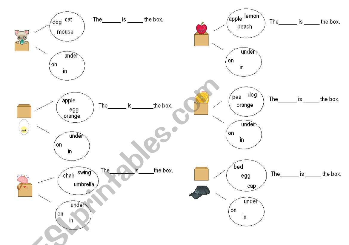 PREPOSITIONS OF PLACE ( IN - ON - UNDER)