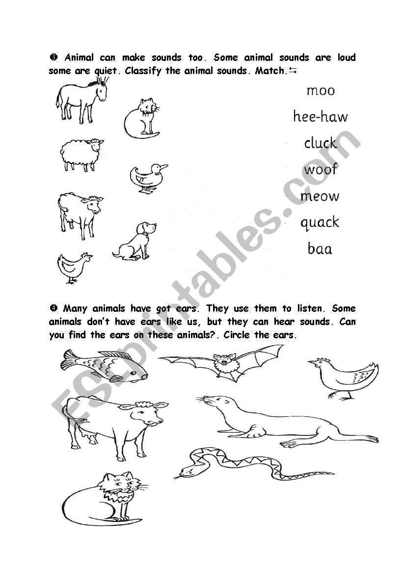 5 senses (7th part) worksheet