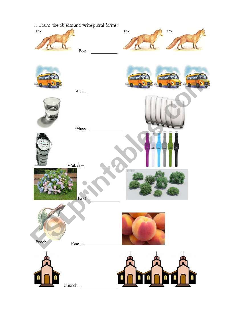 Plural forms (ch, sh, x, s, ss + es)