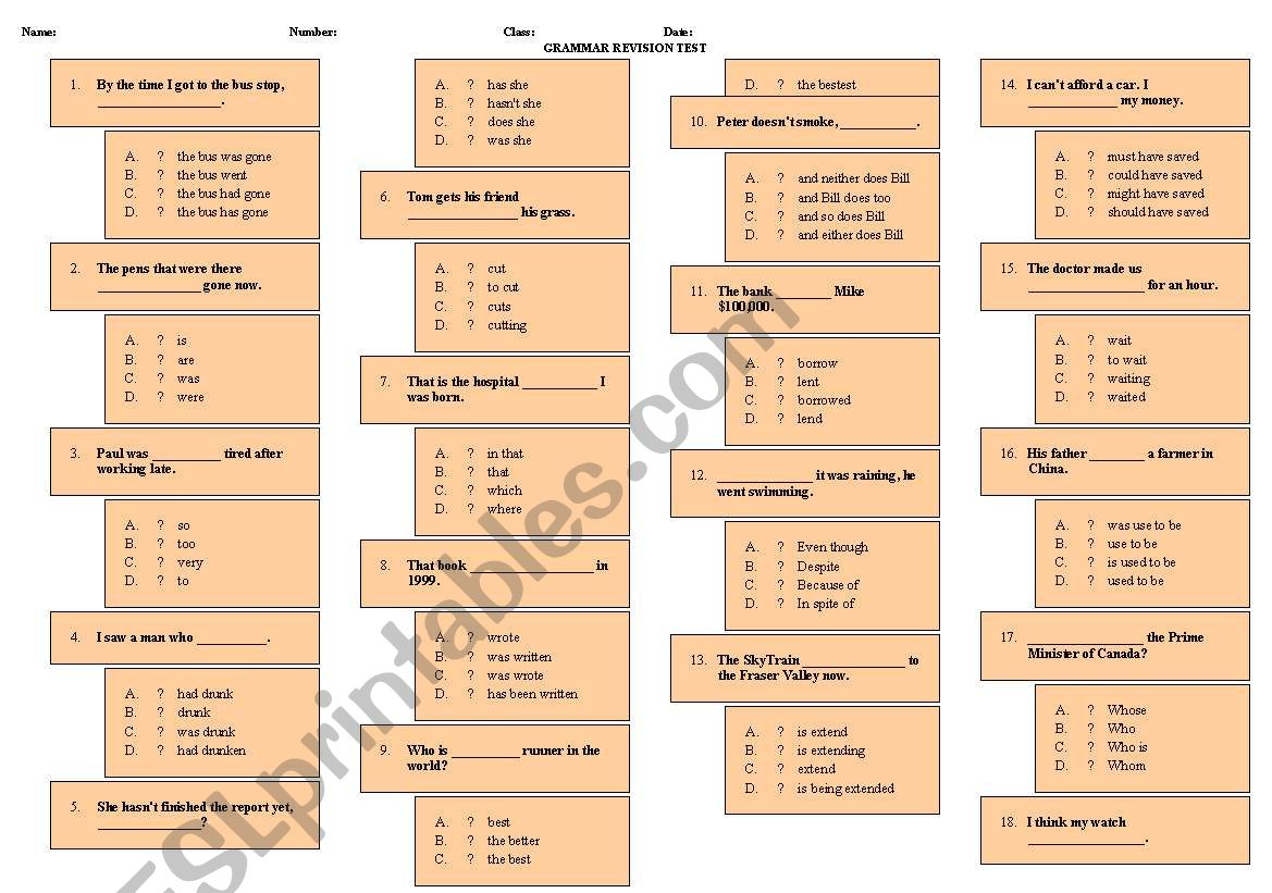 GRAMMAR REVISION TEST worksheet