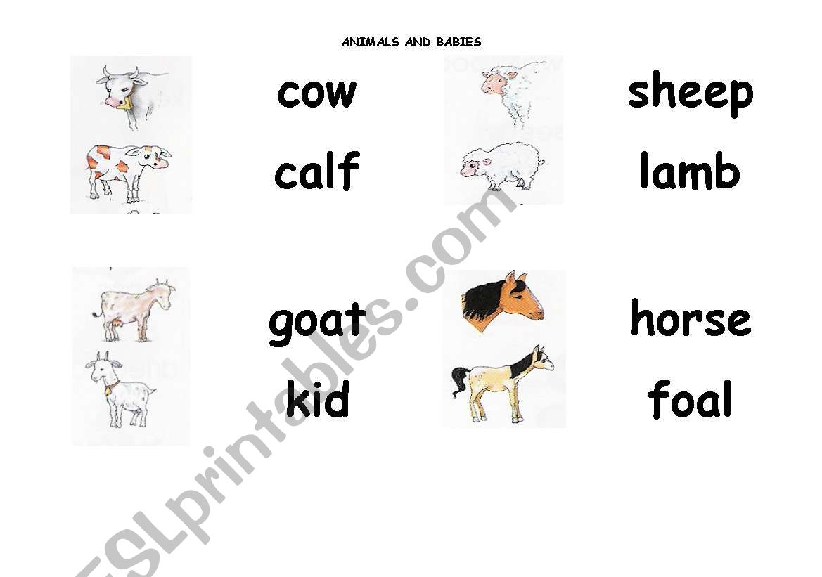 animals and babies worksheet