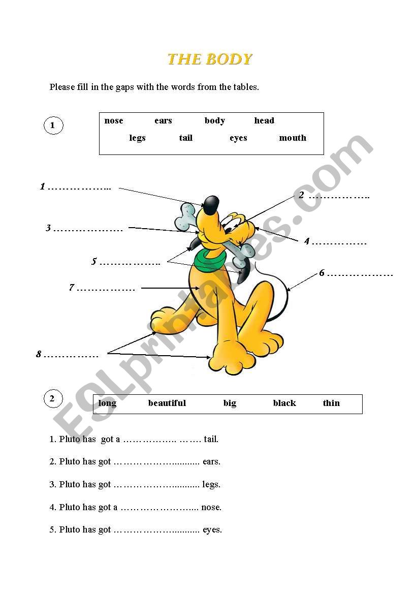 The Body worksheet