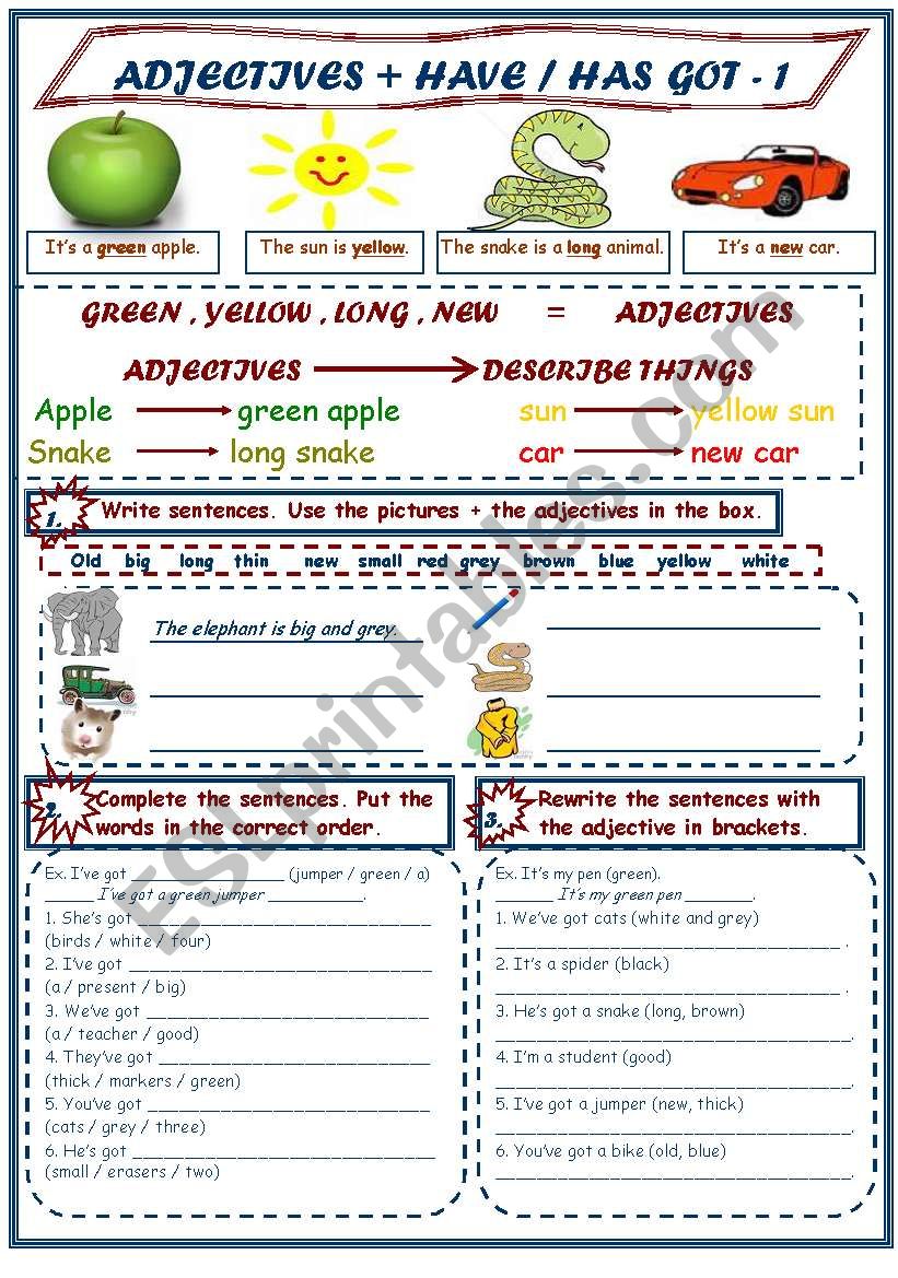 ADJECTIVES + HAVE/HAS GOT 1/3 worksheet