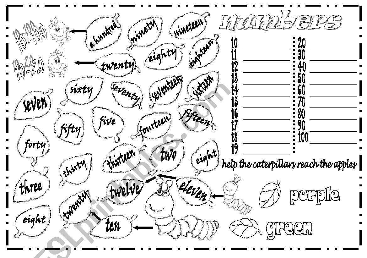 NUMBERS 10-100 worksheet