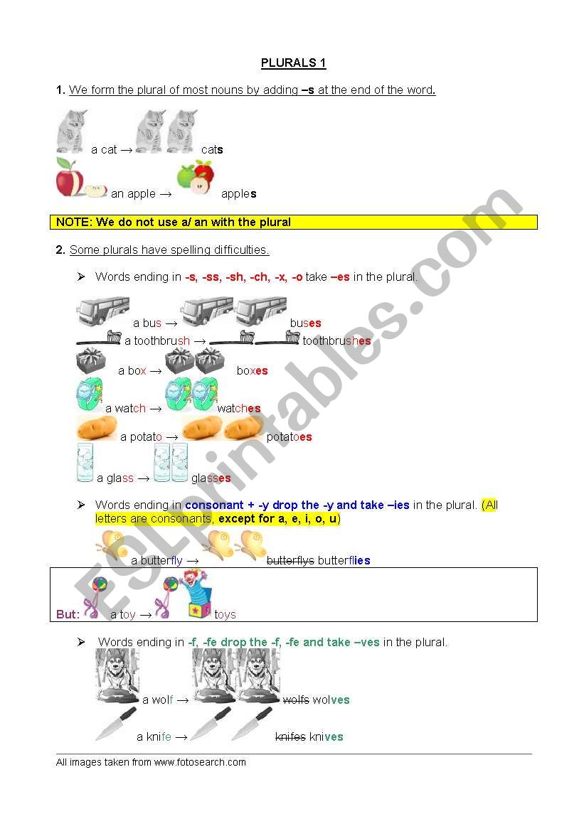 plurals illustrated 1: regular plurals - rules and examples