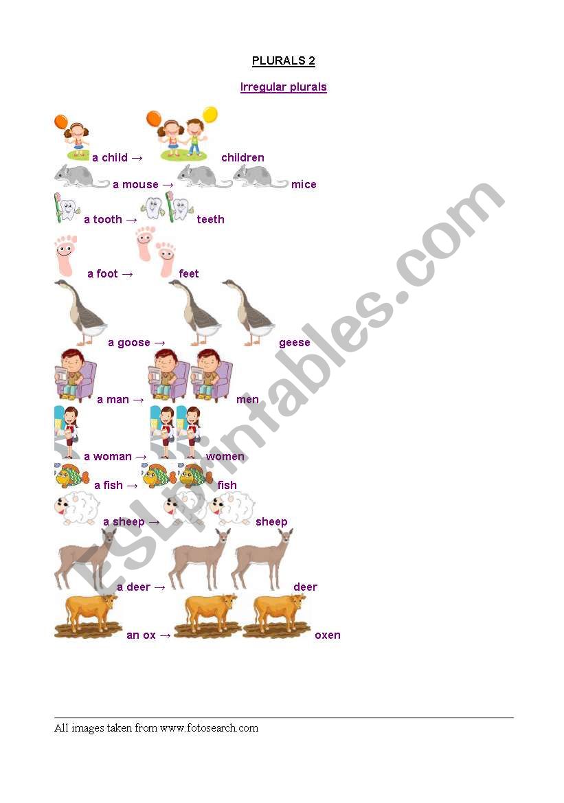 plurals illustrated 2: irregular plurals