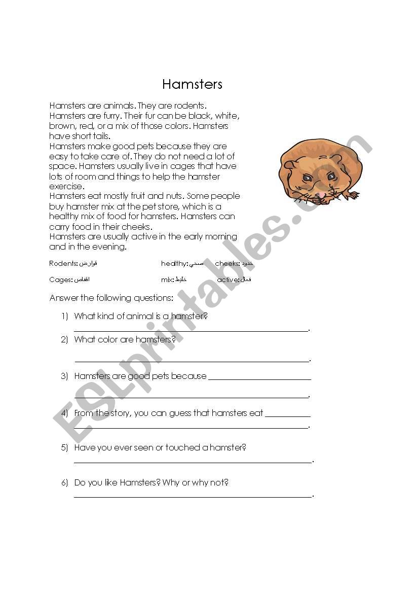 reading comprehension worksheet