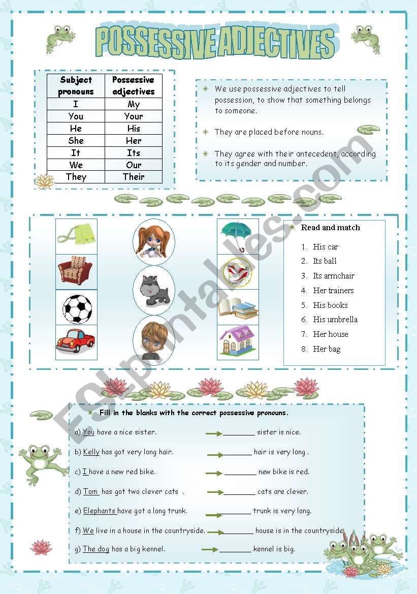 possessive adjectives worksheet