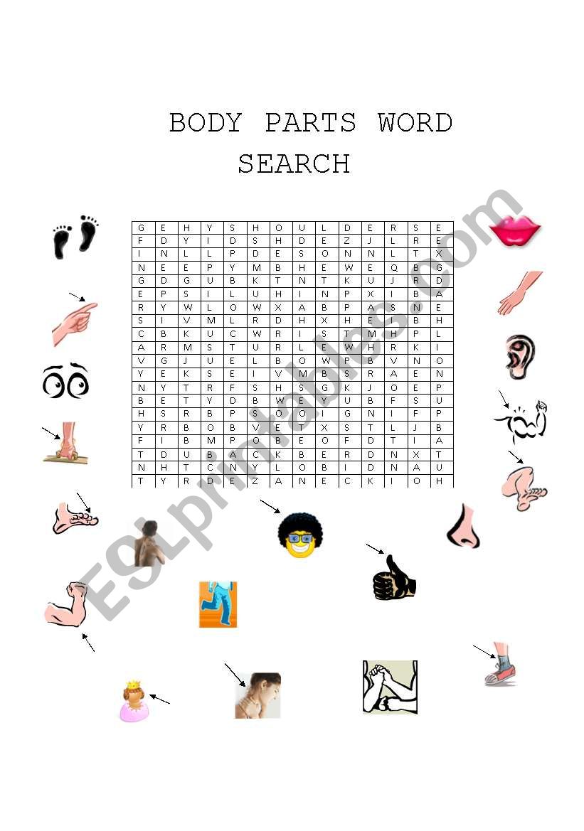 Body Parts Word Search worksheet