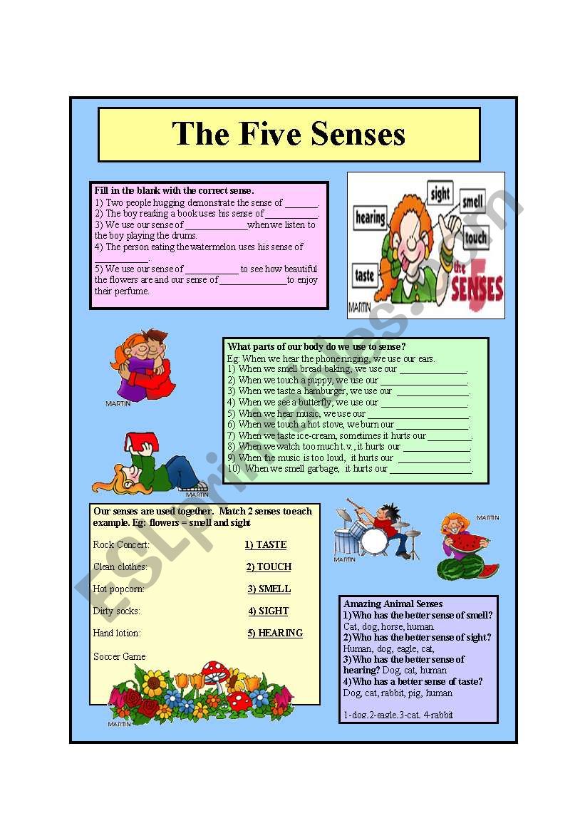 The Five Senses worksheet