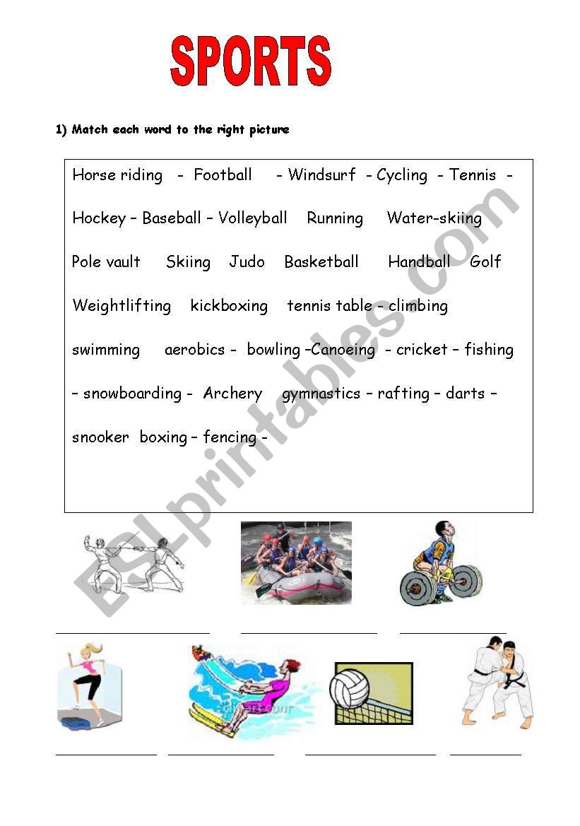 sports worksheet