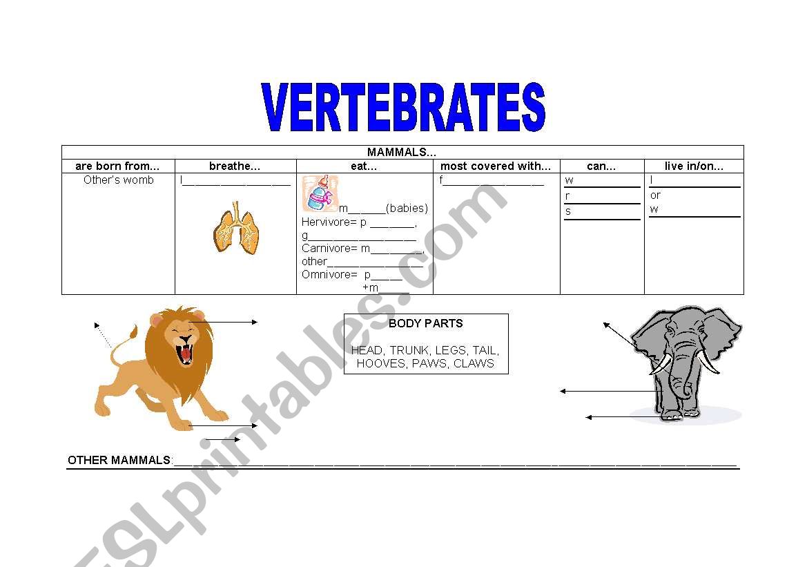 Vertebrates 1 Mammals worksheet