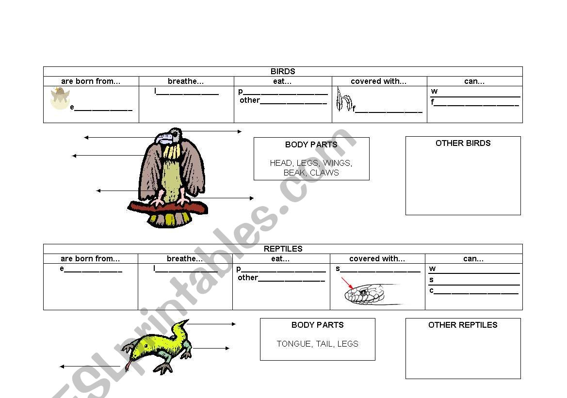 vertebrates 2 worksheet