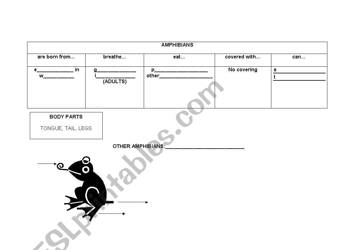 vertebrates 3 worksheet