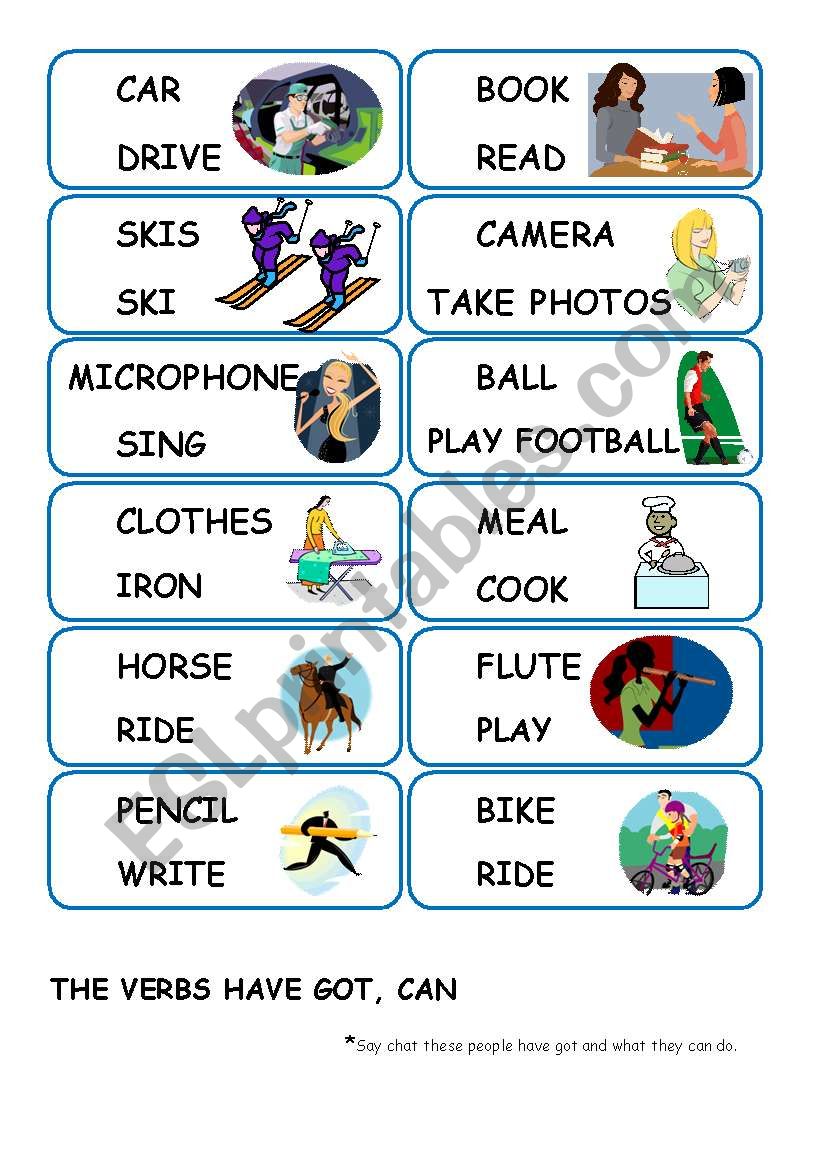 SPEAKING CARDS - HAVE GOT, CAN