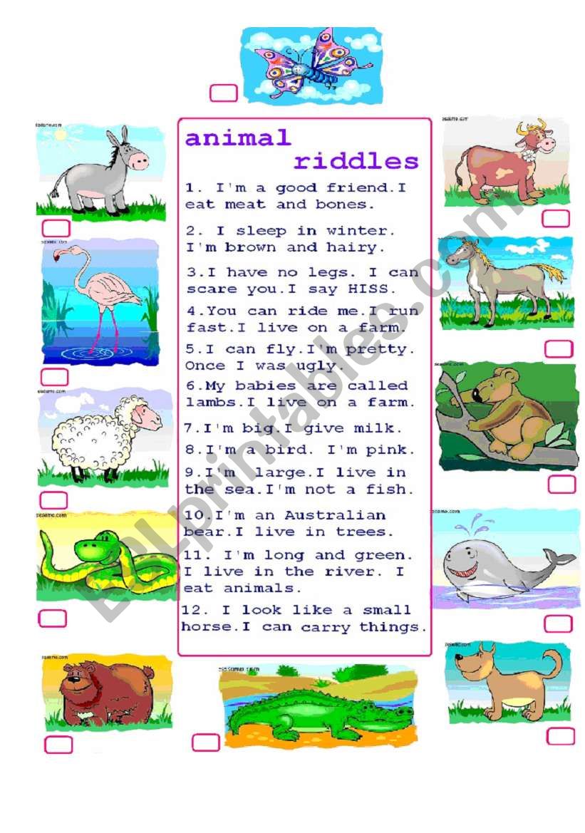 animal riddles worksheet